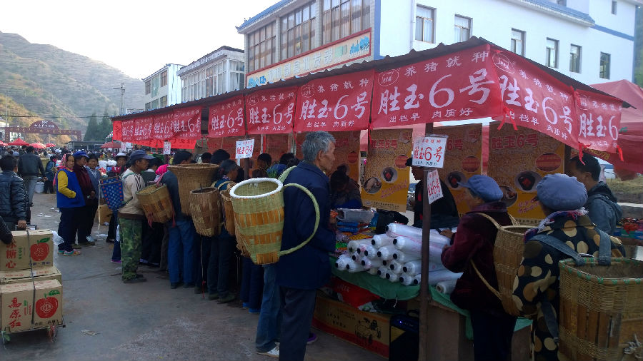 WP_20150305_08_22_17_Pro.jpg